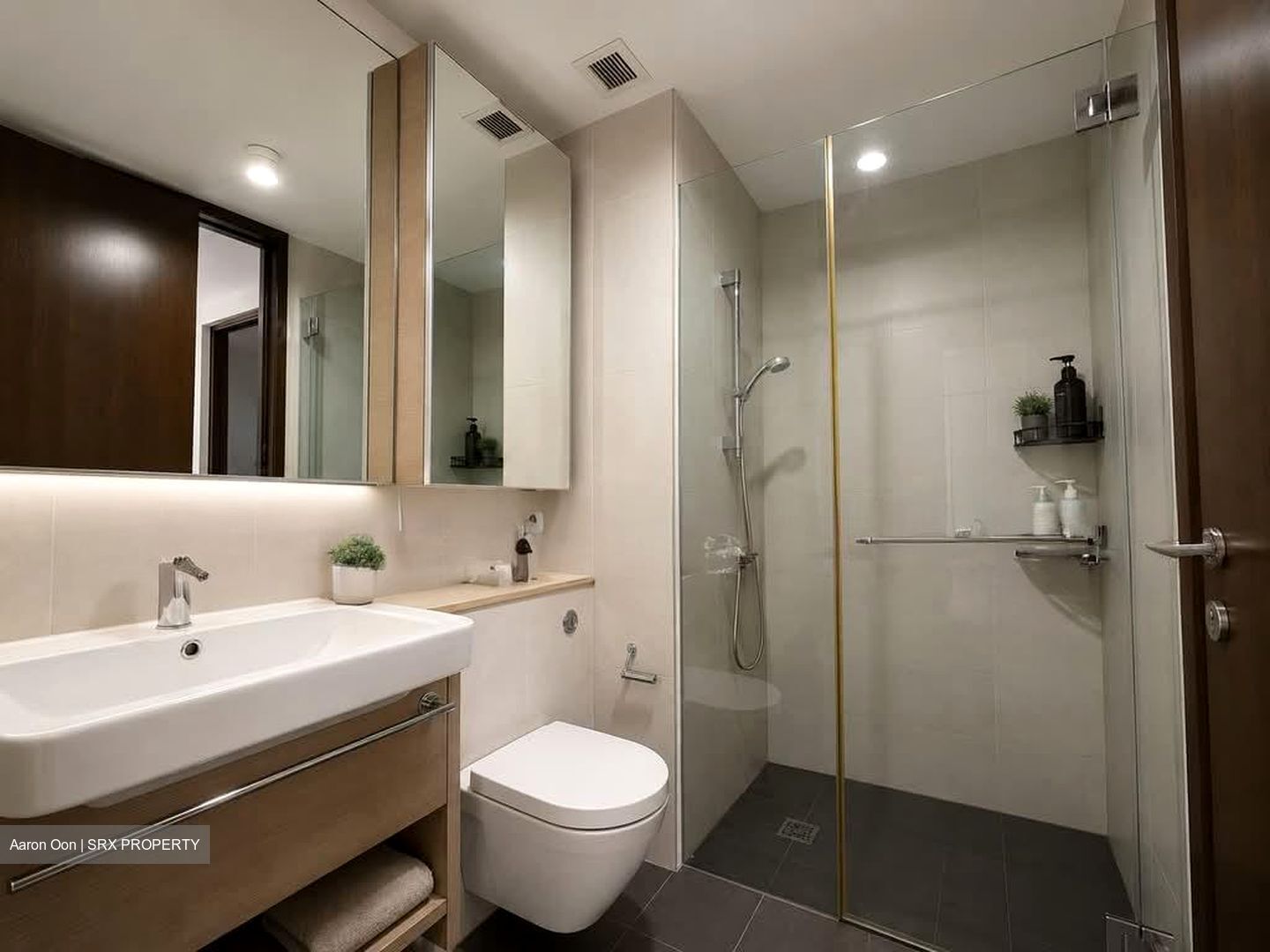 Toh Tuck Road (D21), Condominium #580941431